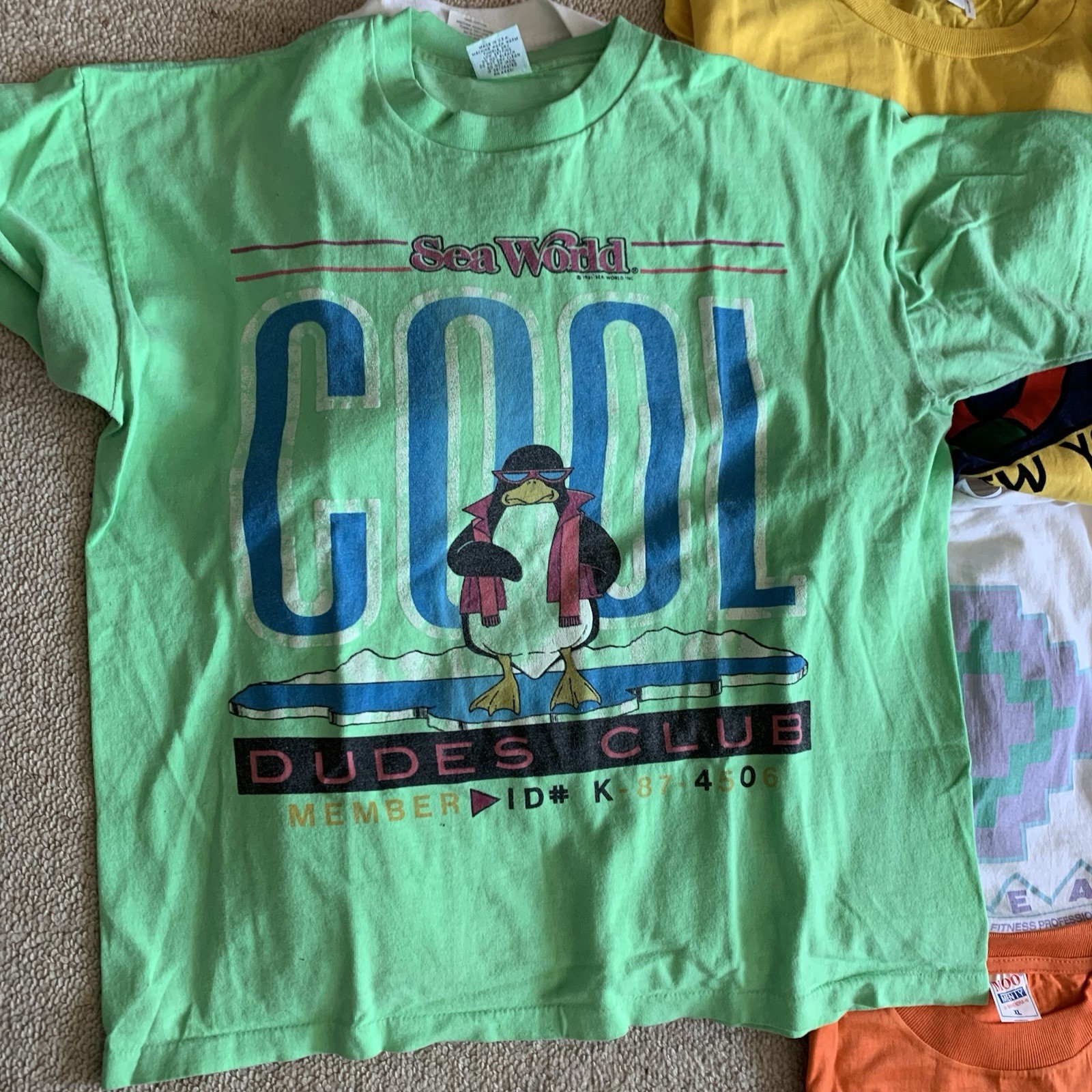 Lot of 12 Vintage T Shirts Travel 80s-Y2K. Soho NYC, WTC, India, Austin, Branson