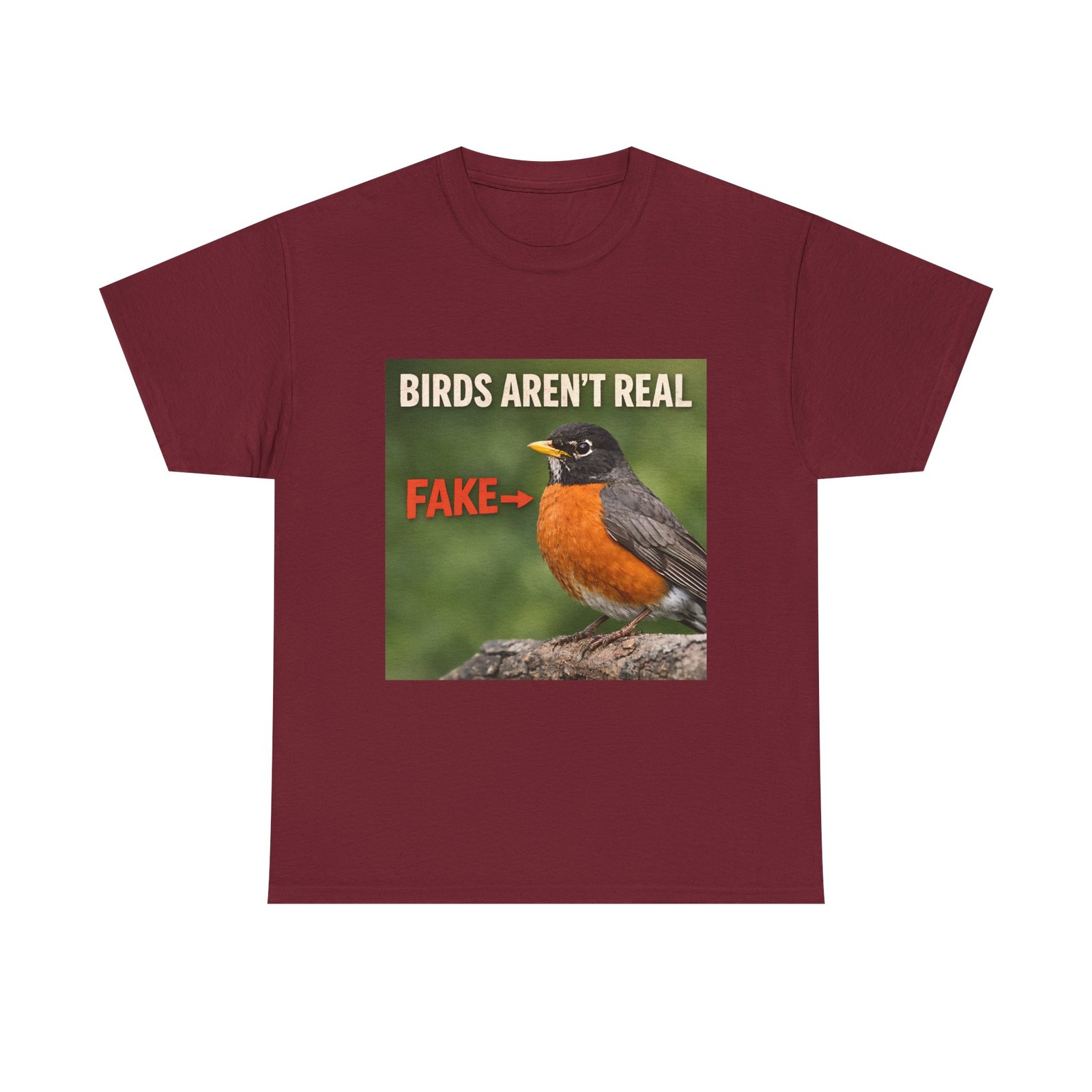 Birds Aren’t Real robin photo tee | conspiracy slogan shirt