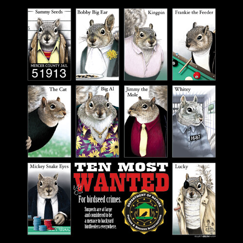 Most Wanted Squirrels T-shirt S M L XL XXL Squirrel Cotton Short Sleeve Black