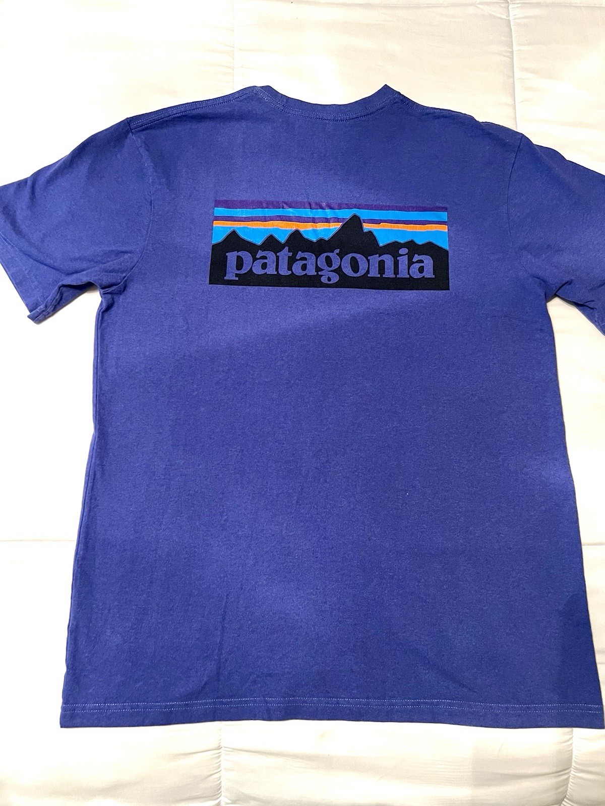 Patagonia Men’s Casual Crew Neck T-Shirt Short Sleeve, Size Medium , Blue