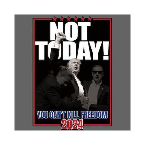 Not Today! Can’t Kill Freedom Long Sleeve T-Shirt 2024 MAGA USA