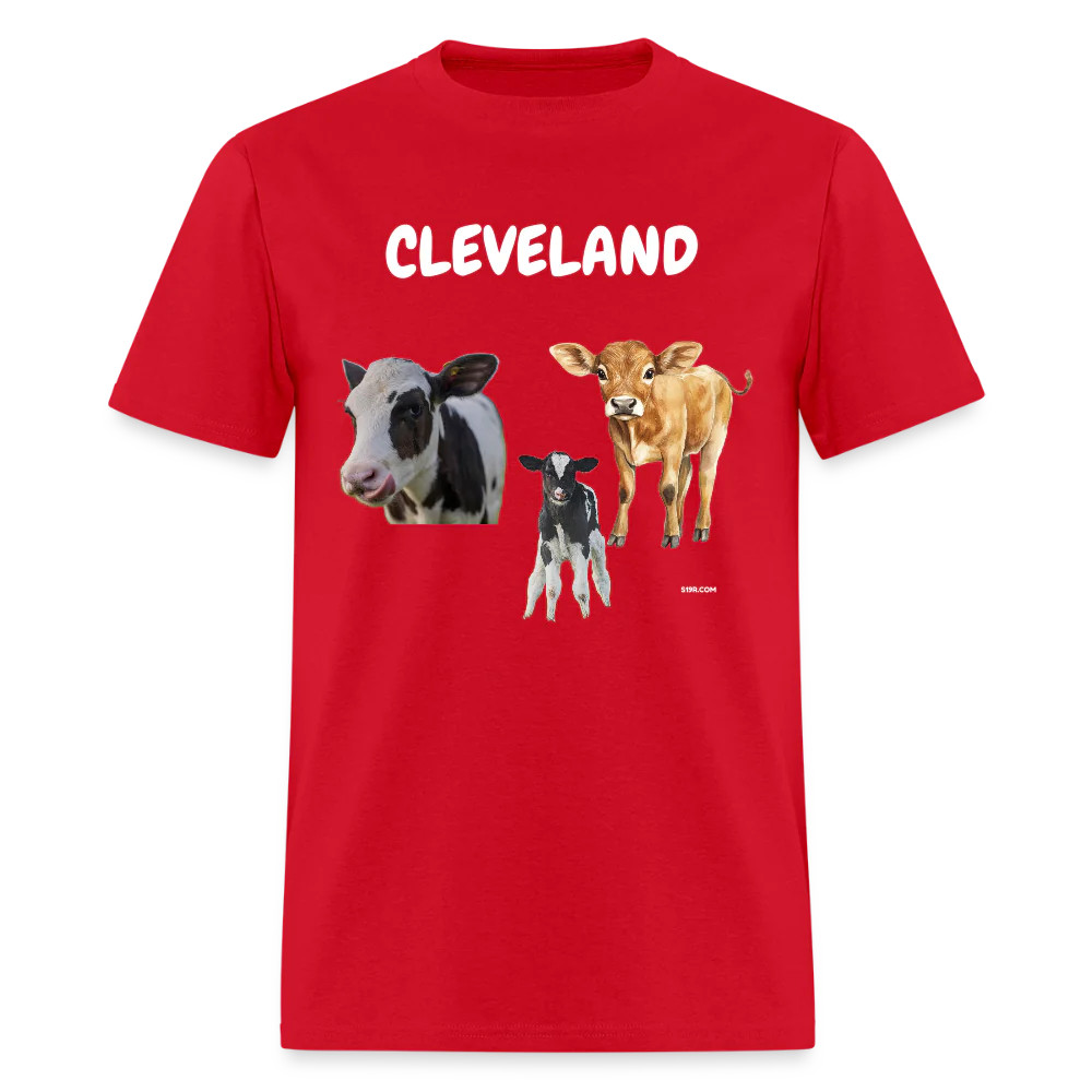 CAVS