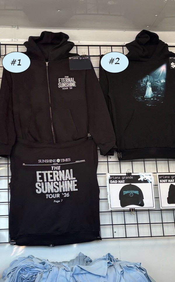 Ariana Grande Eternal Sunshine Tour 2026 Merch Hoodie, Zip Hoodie (Reprint)