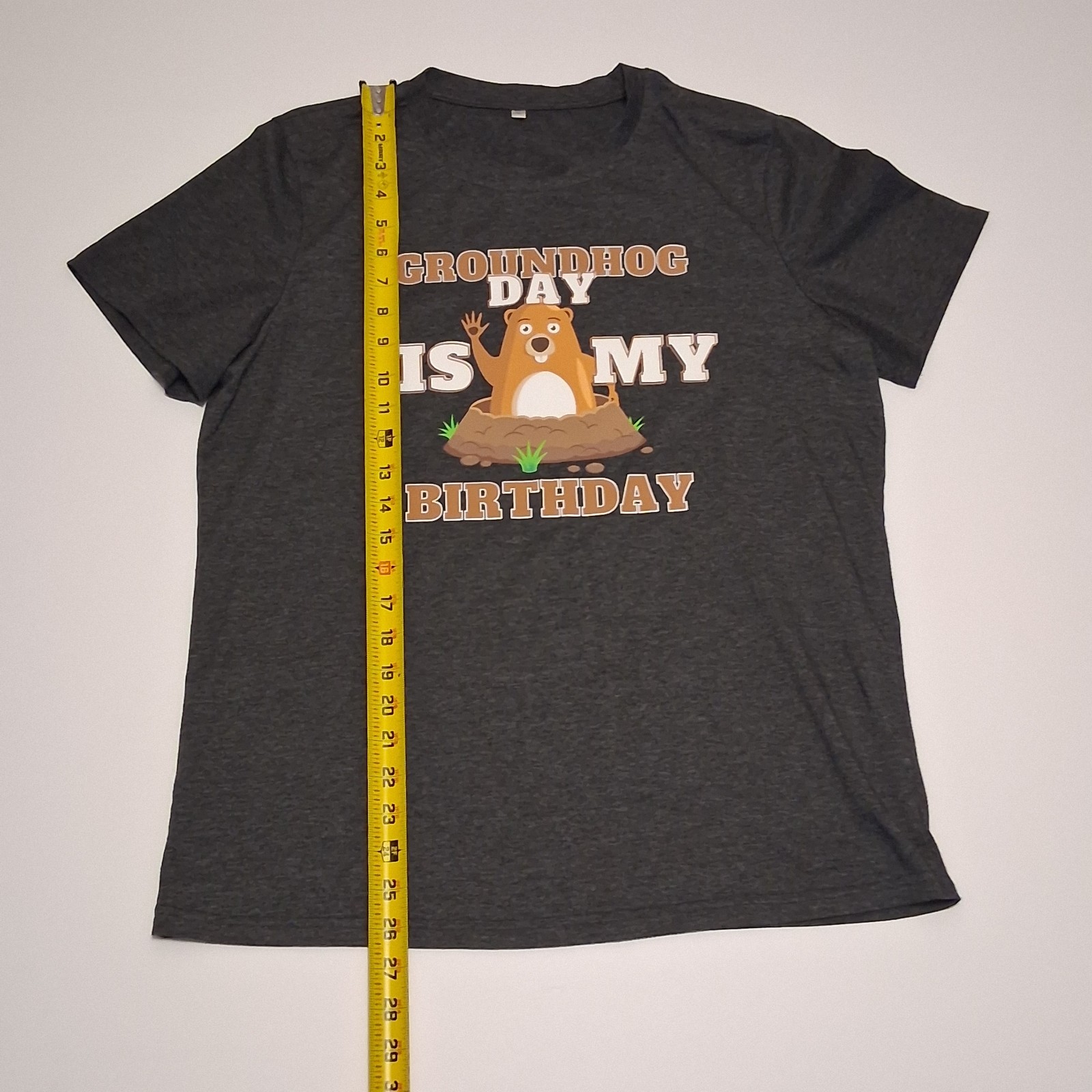 Groundhog Day Is My Birthday Graphic T-Shirt Mens L Dark Gray Short Sleeve