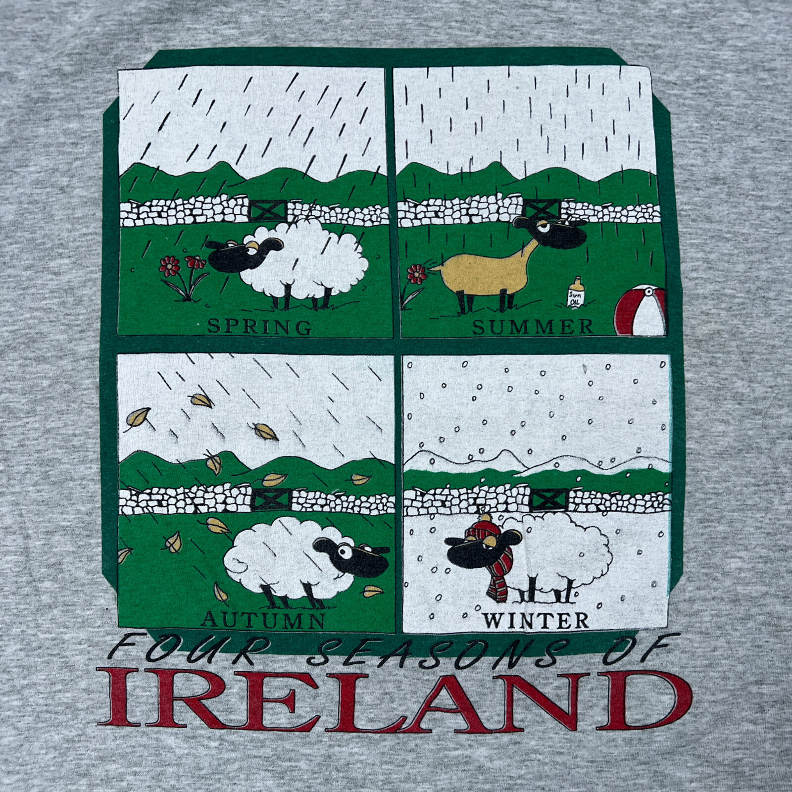 Vintage The Four Seasons of Ireland Mens Gray XL Funny TShirt MADE IN USA
