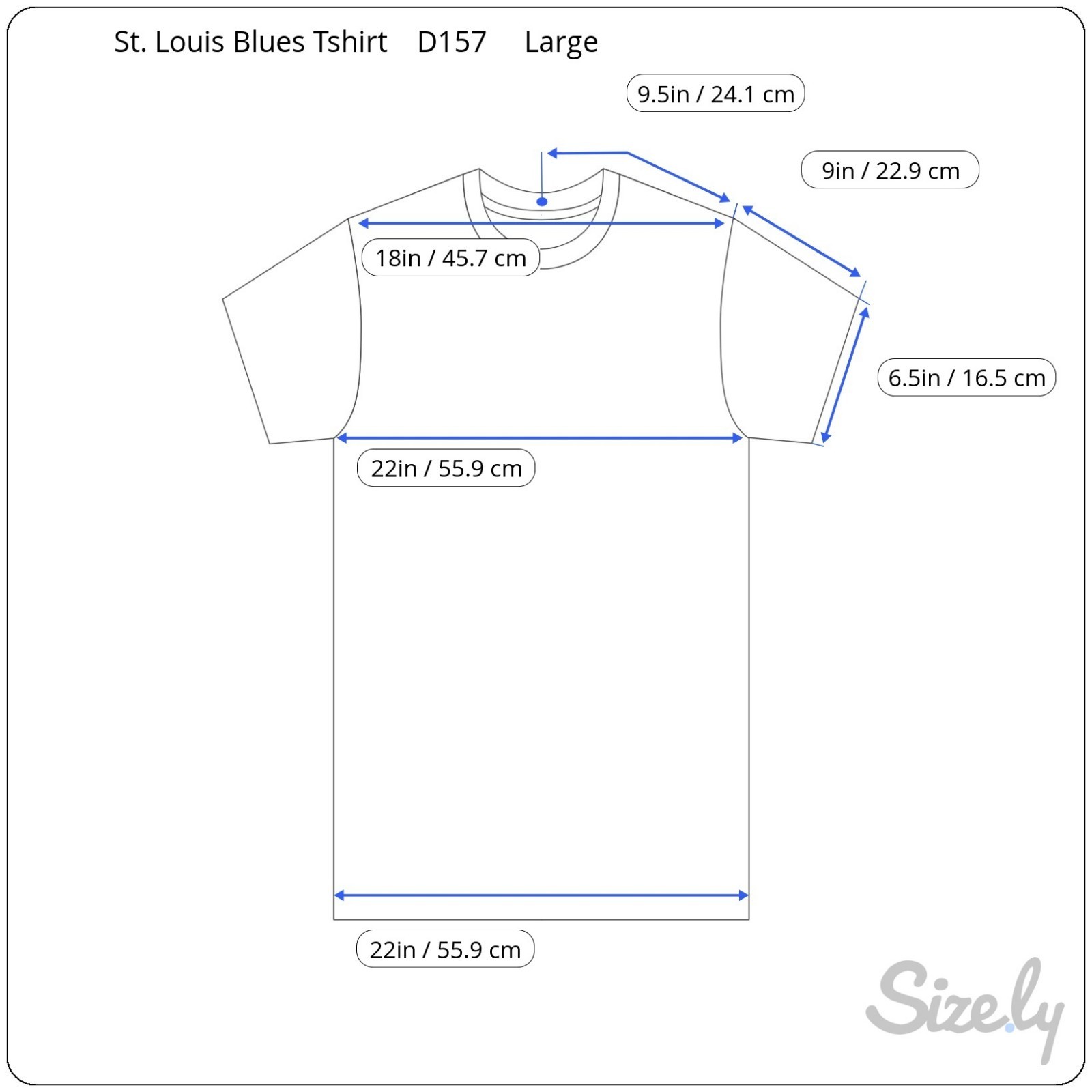 Fanatics 2019 St. Louis Blues Mens Graphic Tshirt Large Stanley Cup Champions