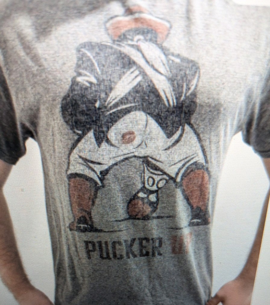 Vintage Delta Pro Weight T Shirt Mens Size L Gray Pucker Up Graphic Tee Y2K