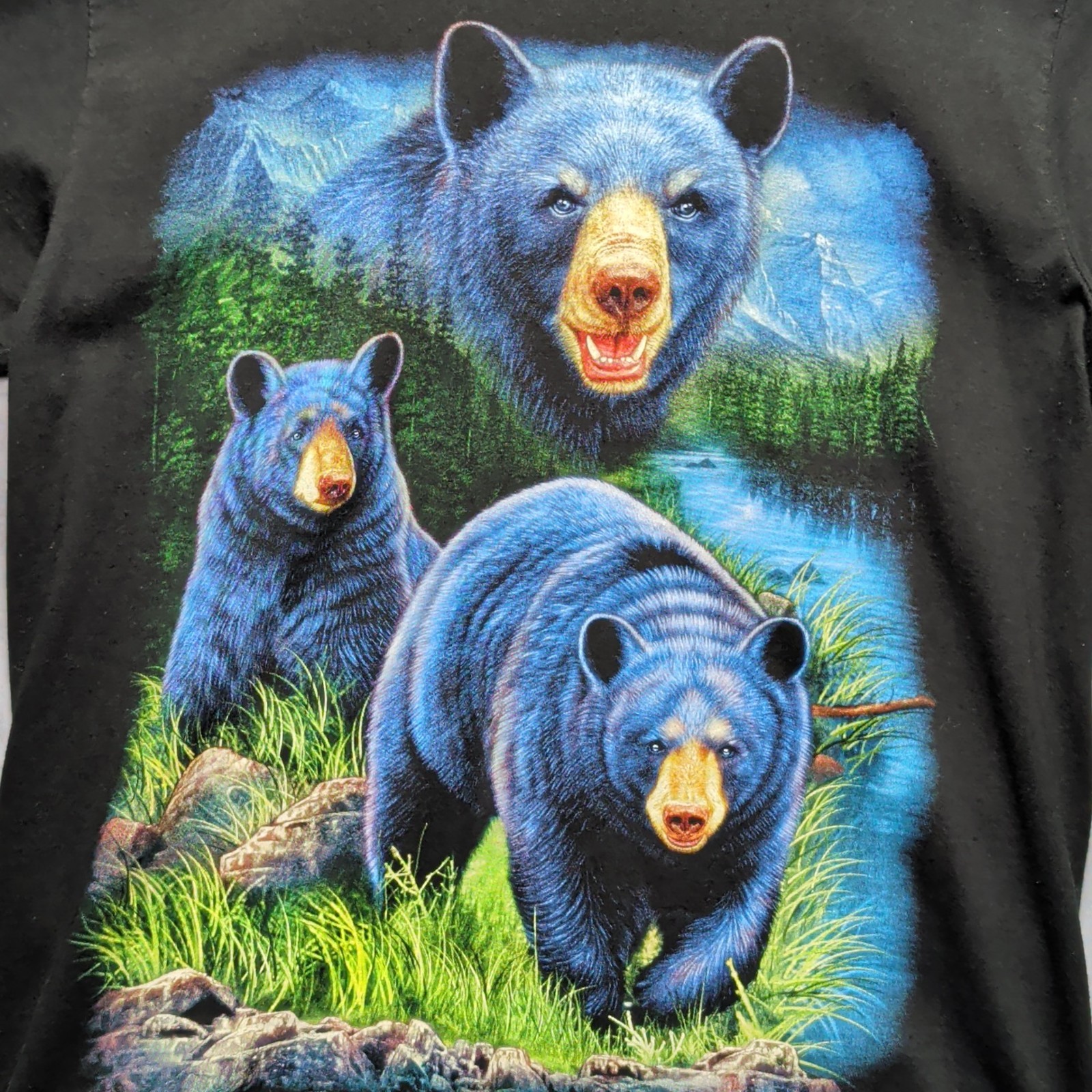 Wild Men’s Bear Graphic T-Shirt Size M Black Blue Wildlife Animal Print Tee