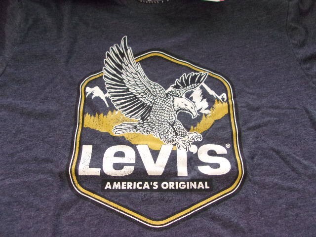 Levi’s Men’s Short Sleeve Crew Neck Graphic Logo T-Shirt