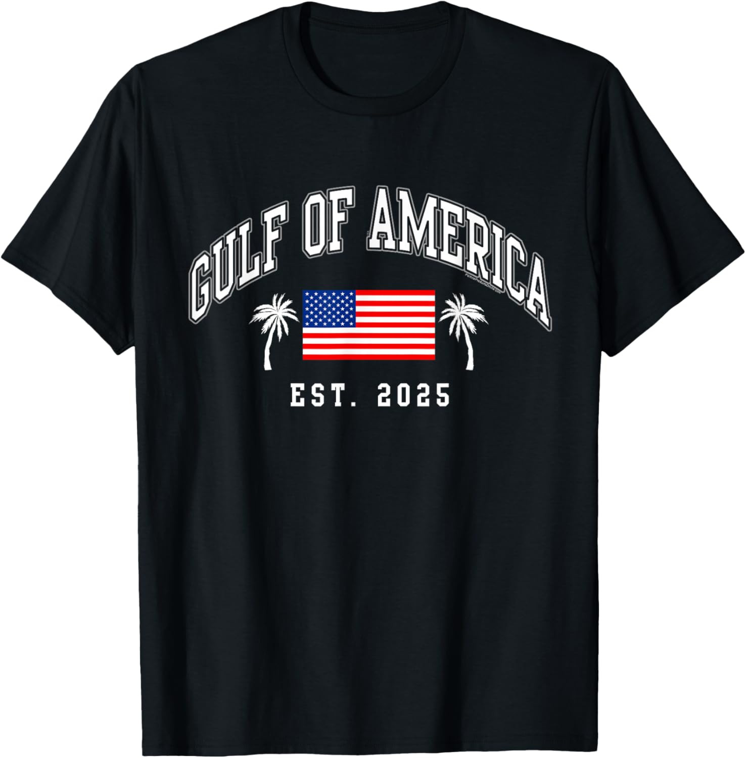 Gulf America Est 2025 USA American Flag Palm Trees Patriotic T Shirt