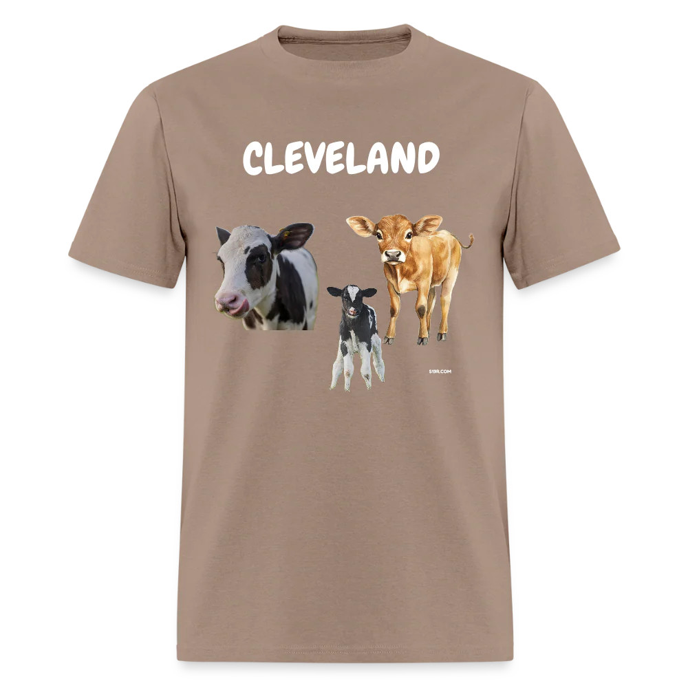 CAVS