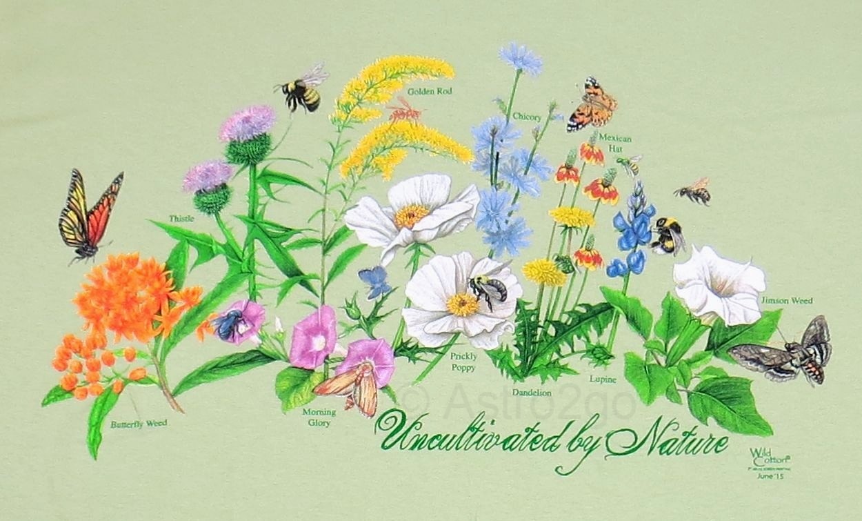 UNCULTIVATED BY NATURE-Weeds Garden Butterfly Bees Nature Science T shirt XL,2XL