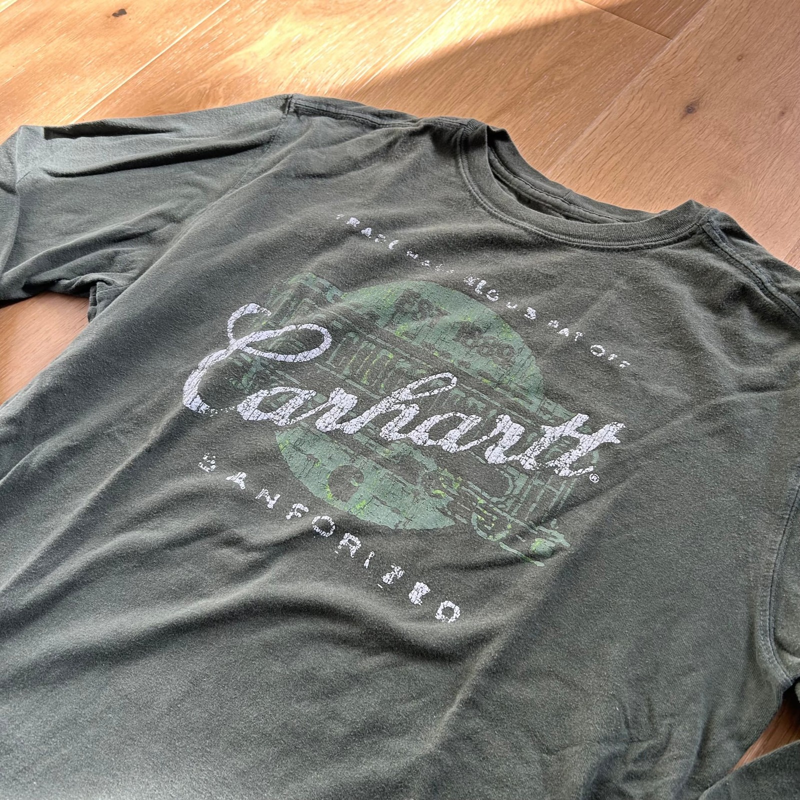 Carhartt Green Relaxed Fit Long-Sleeve Graphic T