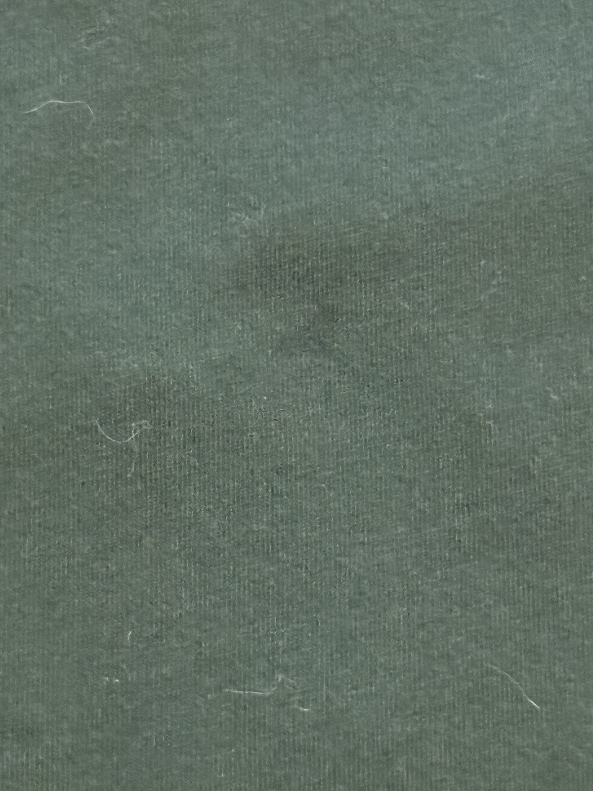 Polo Ralph Lauren Chenille Big Logo Spell Out T Shirt Green Classic Fit Mens M