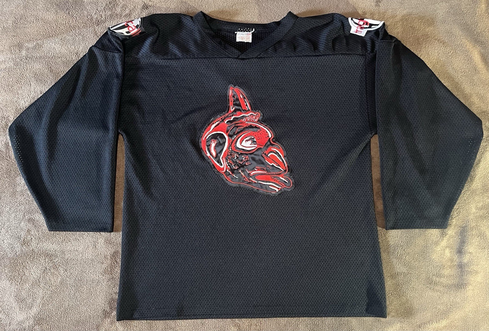 TRAGICALLY HIP Trouble Henhouse hockey jersey Rare Rush Zep Beatles Young Mint