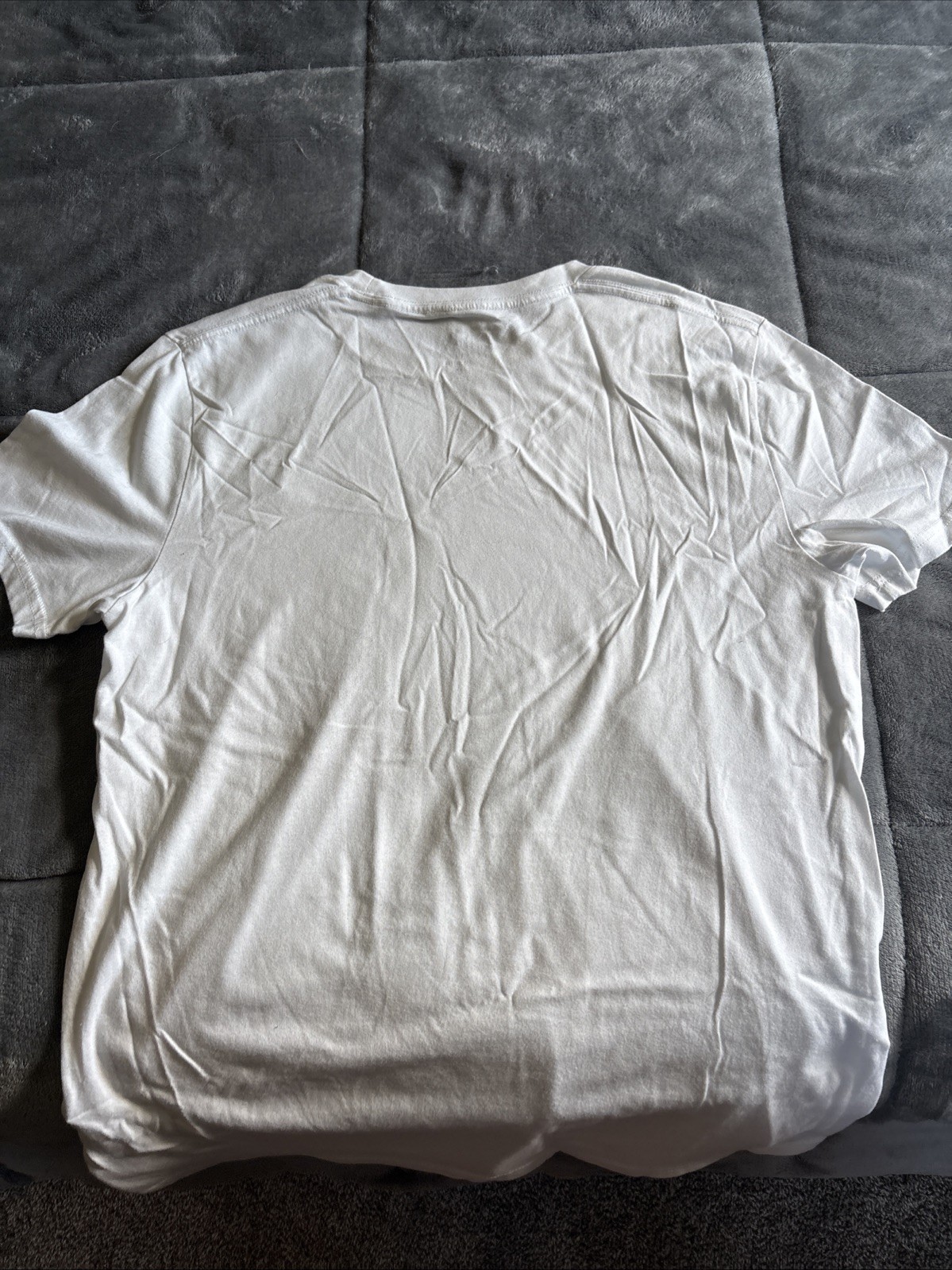 Hollister Must – Have Collection White T – Shirt – Medium