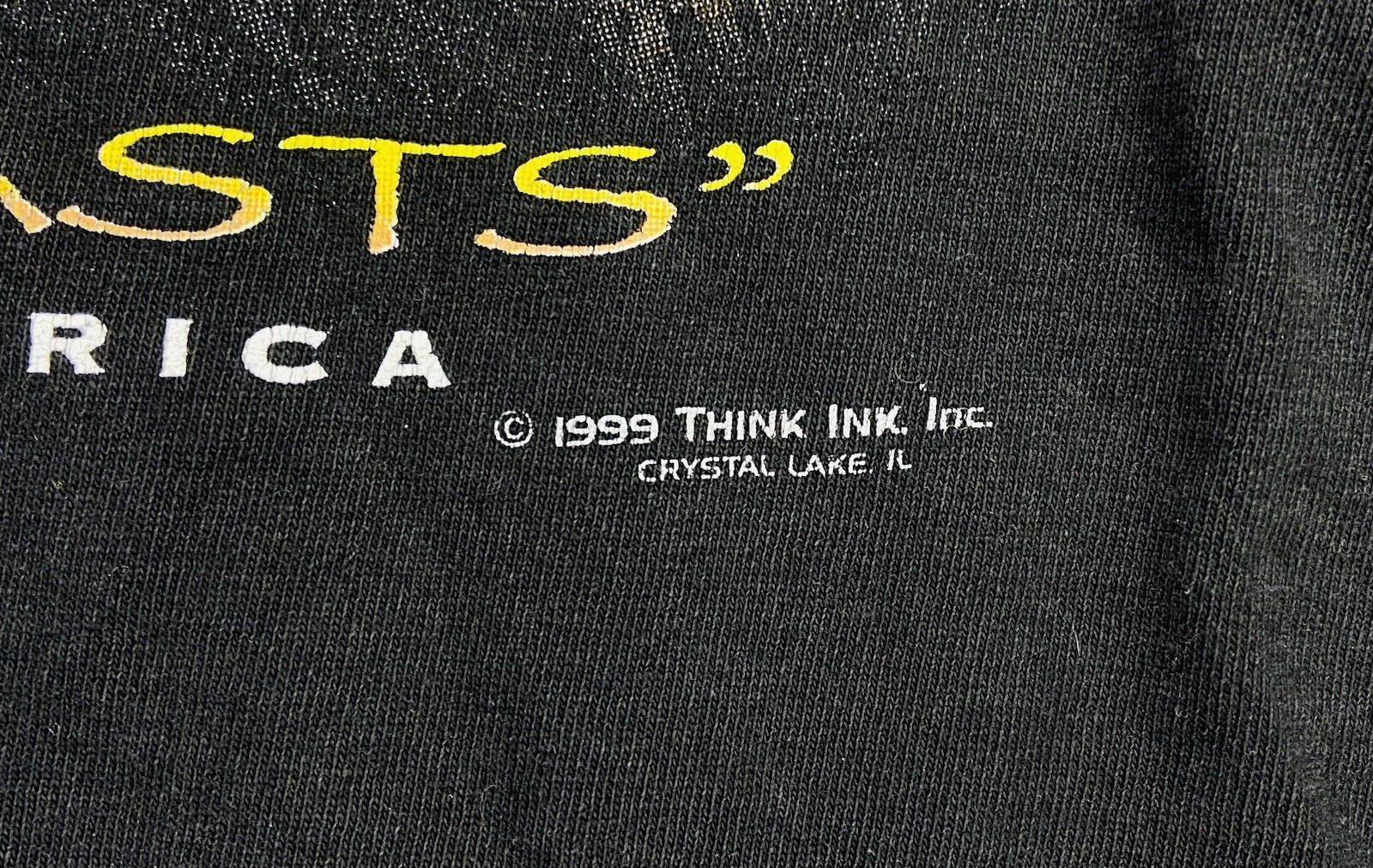 *VTG* Think Ink, Inc. 1999 African Lion ‘King Of Beasts’ Africa Black Shirt; L
