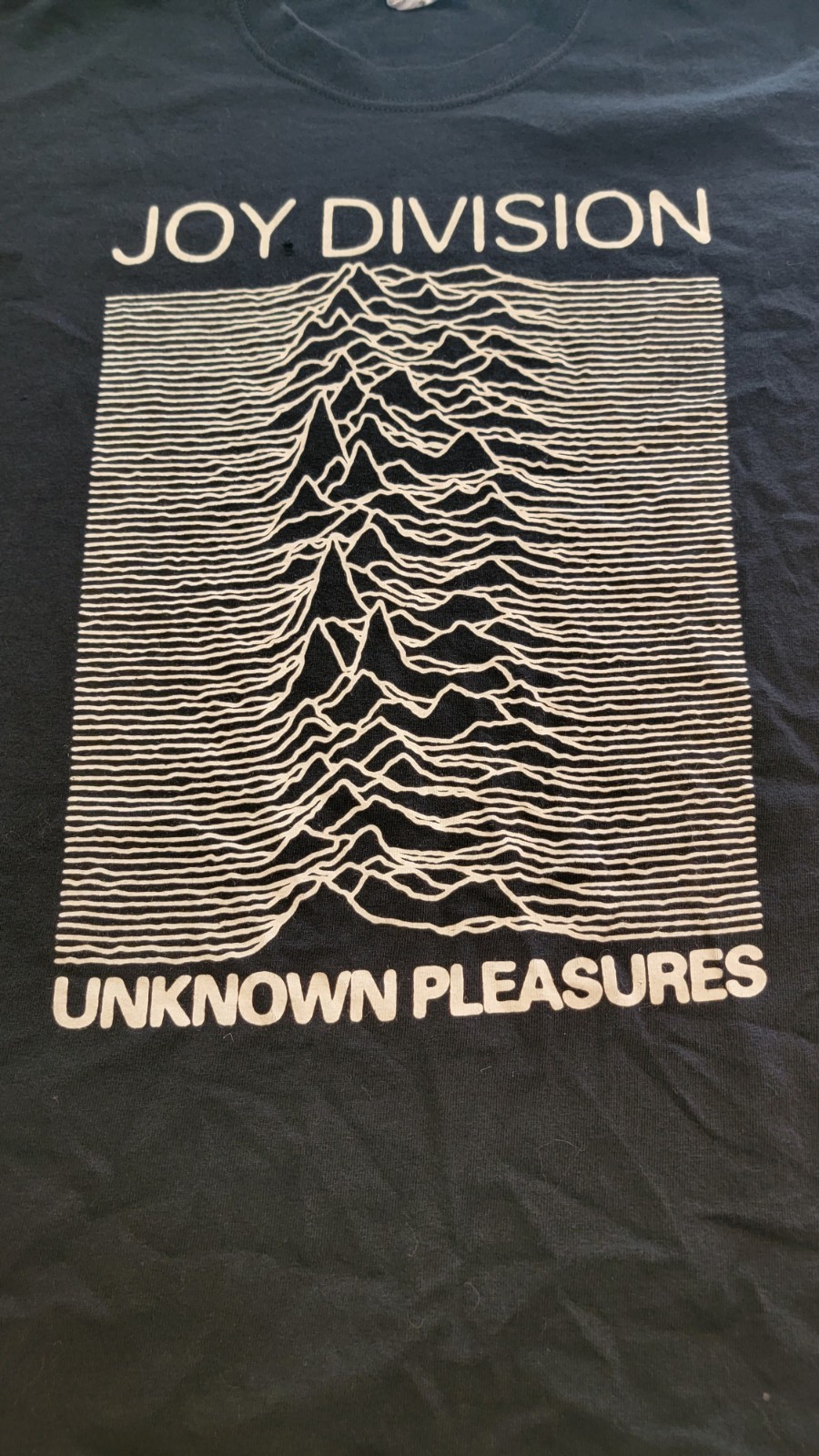 VINTAGE JOY DIVISION UNKNOWN PLEASURES GRAPHIC 00s Y2K TEE SIZE L Band Anvil Tee