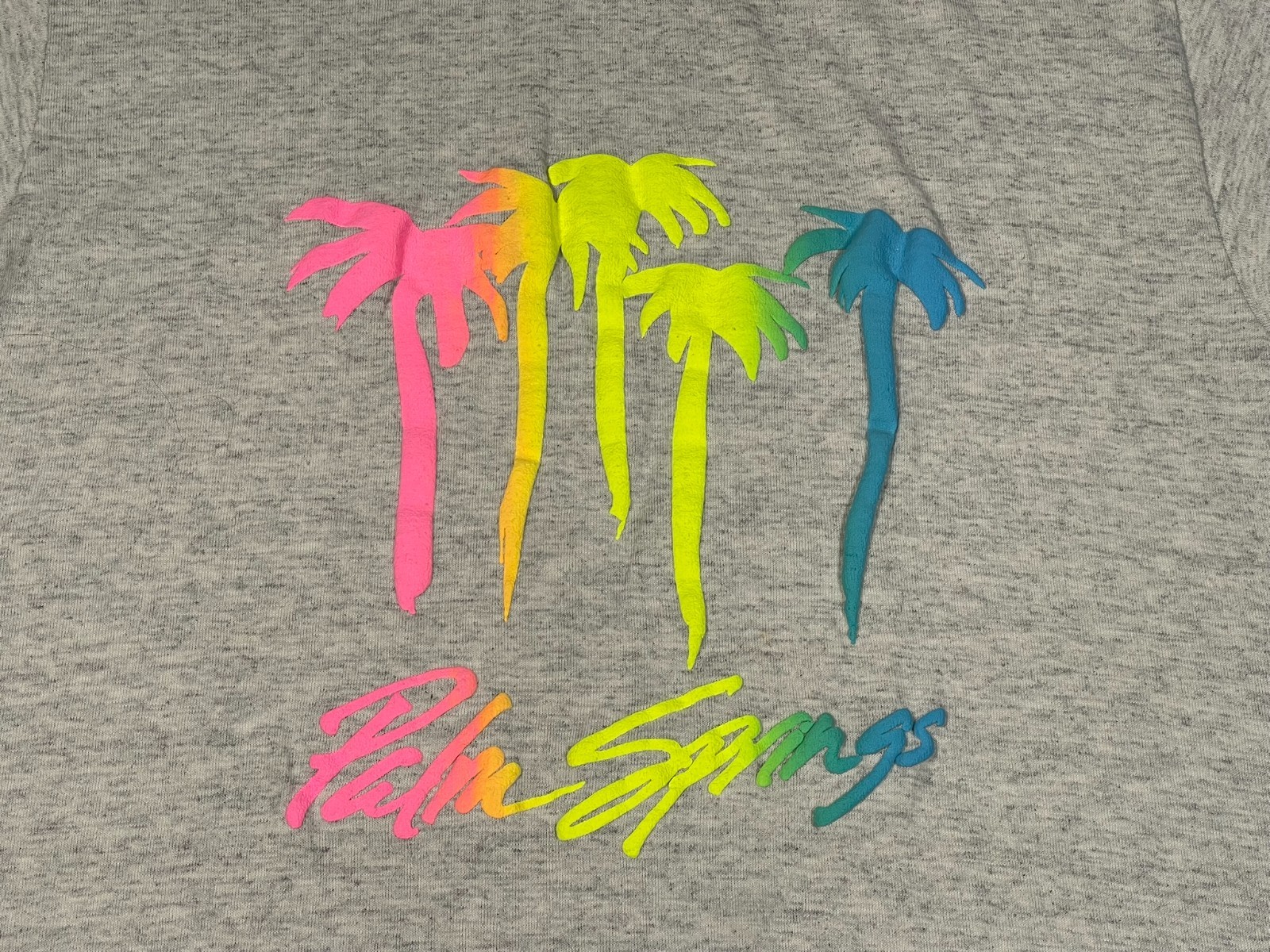 Vintage Palm Springs Men’s XL Gray Tee Single Stitch Puff Paint Made in USA