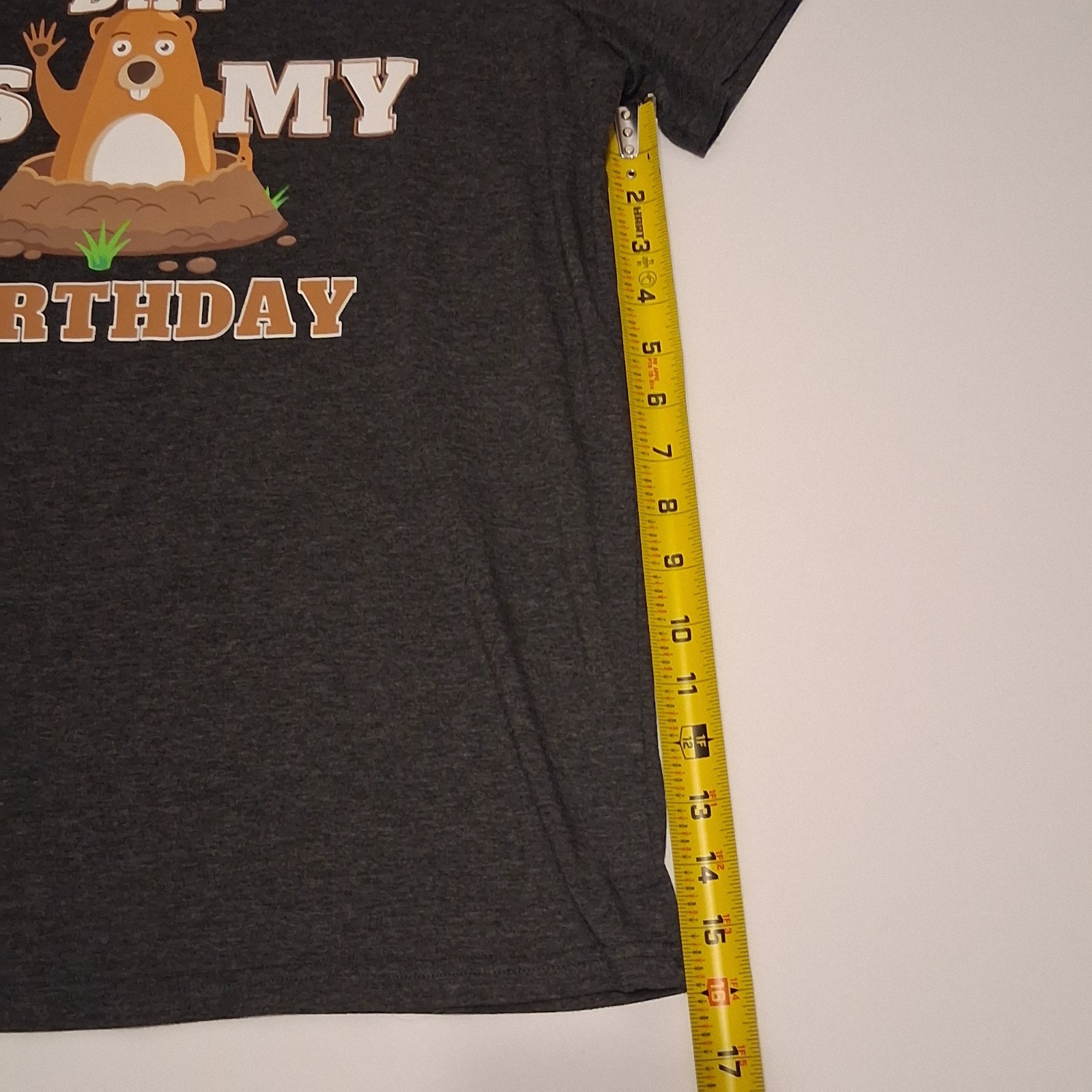 Groundhog Day Is My Birthday Graphic T-Shirt Mens L Dark Gray Short Sleeve