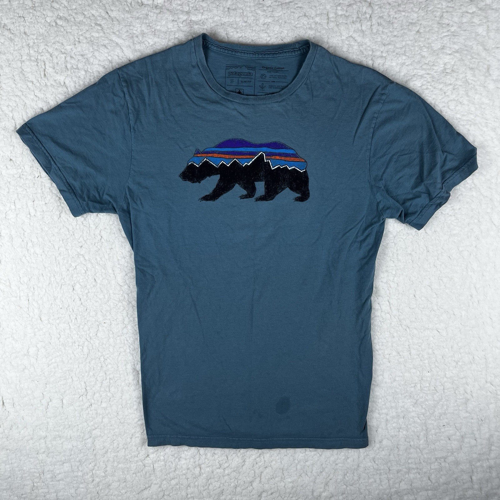 Patagonia Mens Slim Fit Small Teal Green Graphic Tshirt Bear Logo Hiking Outdoor