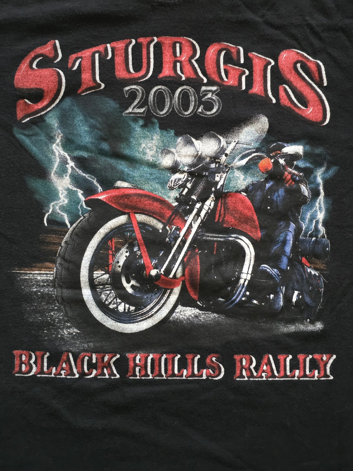 Vintage 2002 SturgisBlack Hills Rally T-Shirt M South Dakota USA Harley Davidson