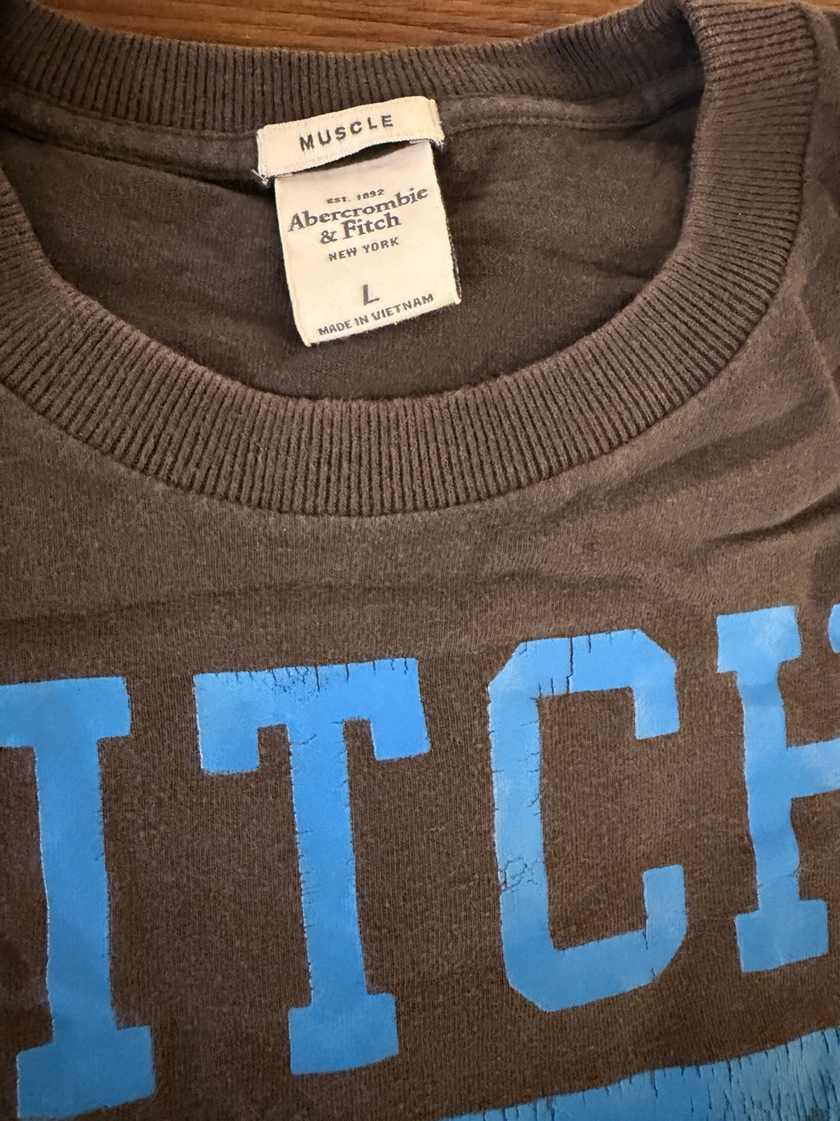 Abercrombie & Fitch Men’s Fitch NY Graphic Logo Crew Neck T-Shirt Gray Blue L