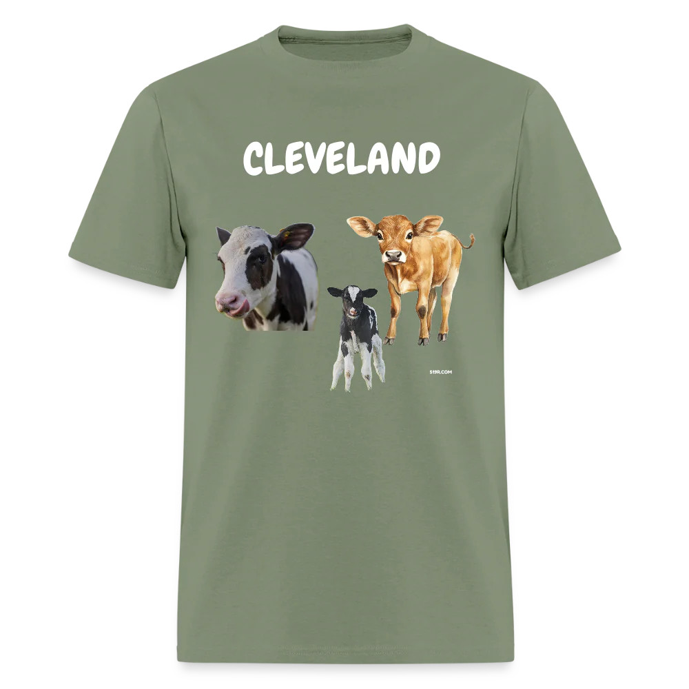 CAVS