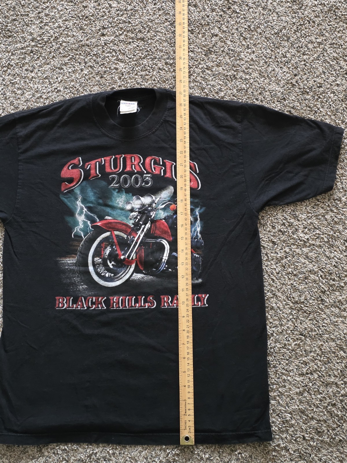 Vintage 2002 SturgisBlack Hills Rally T-Shirt M South Dakota USA Harley Davidson