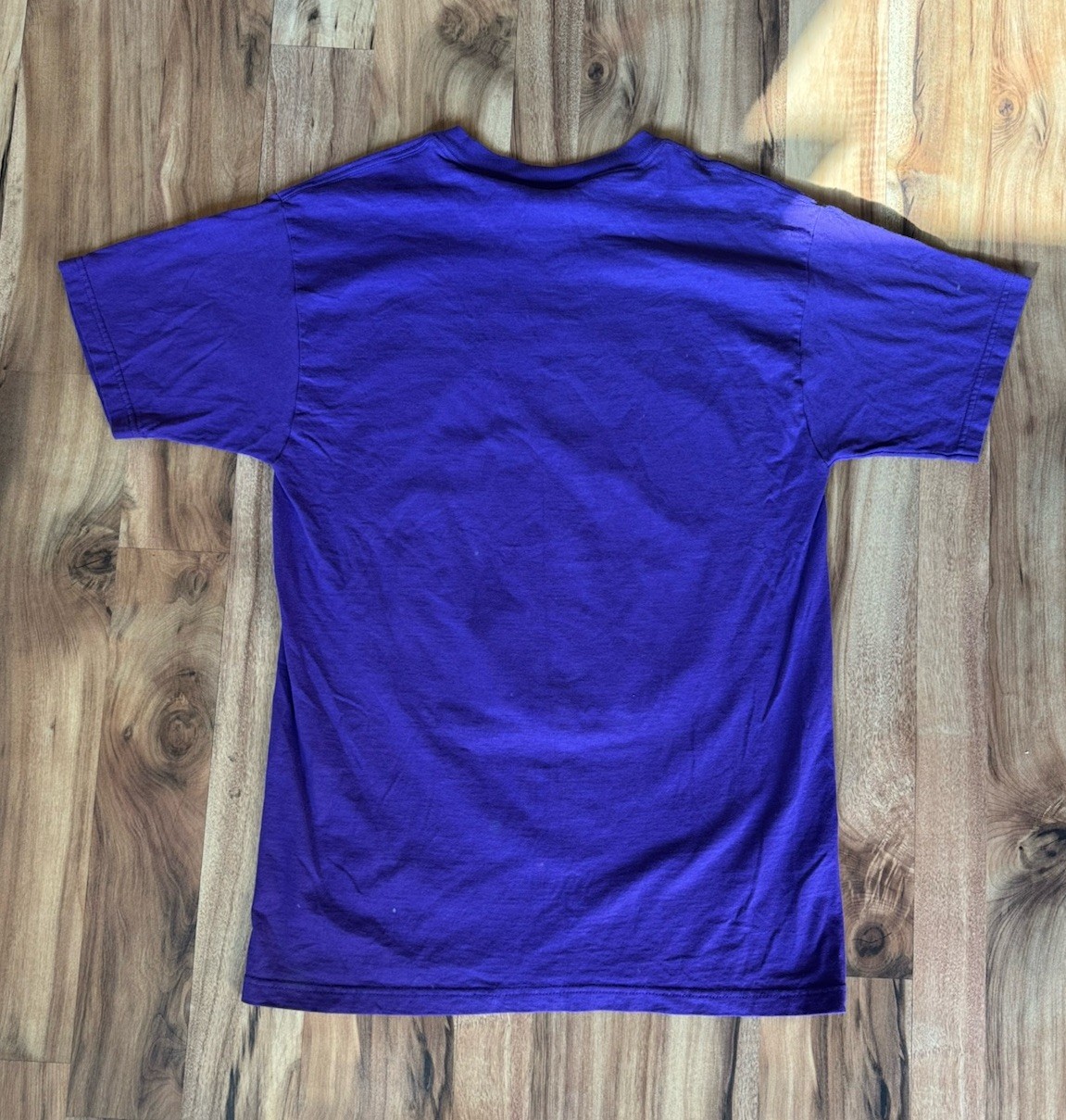 NEW ORLEANS MILLENIUM 2000 Y2K MARDI GRAS Shirt Artwork By Andrea Mistretta
