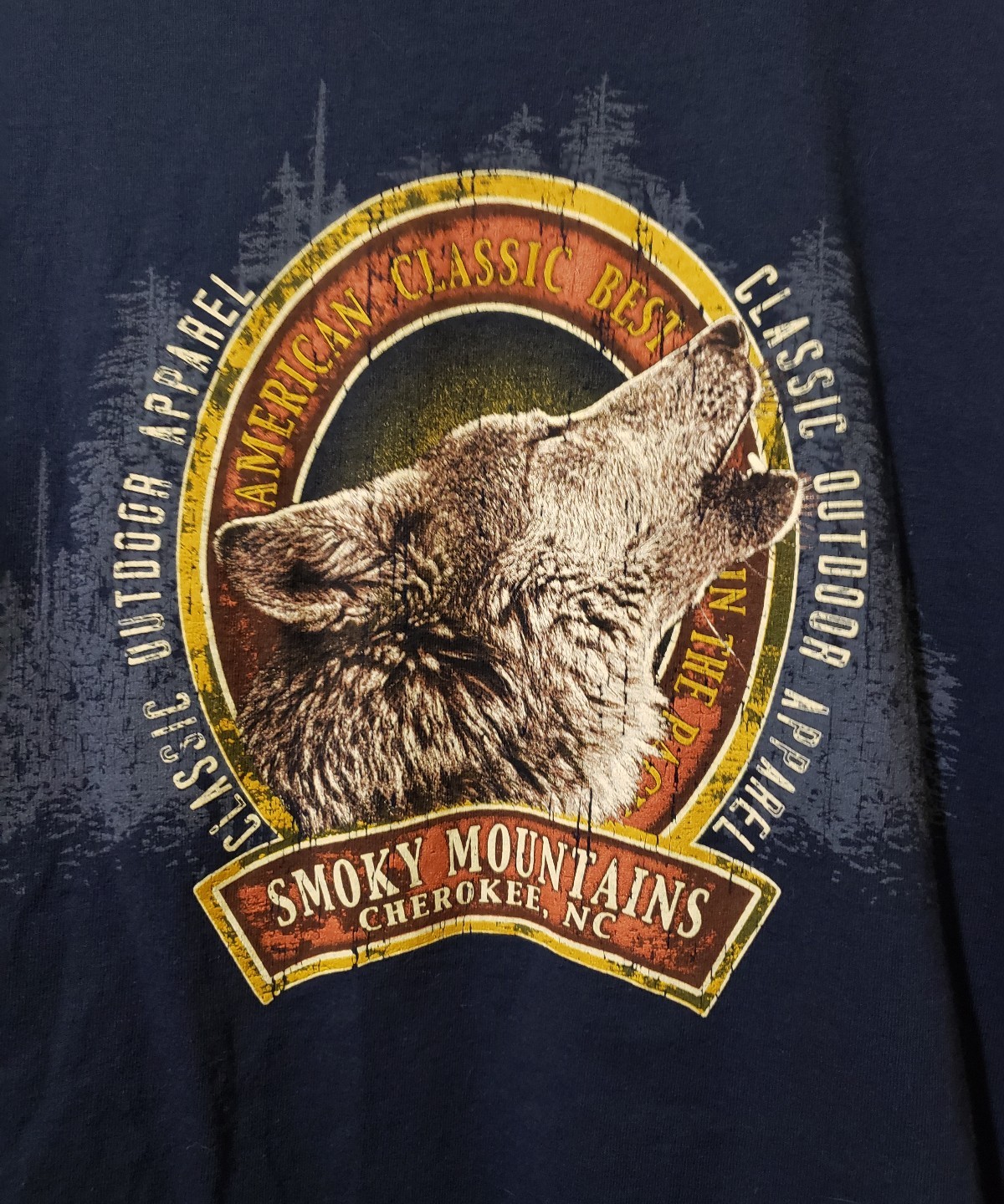 Gildan Graphic T-Shirt Mens L Classic Outdoor Apparel Blue Smoky Mountain