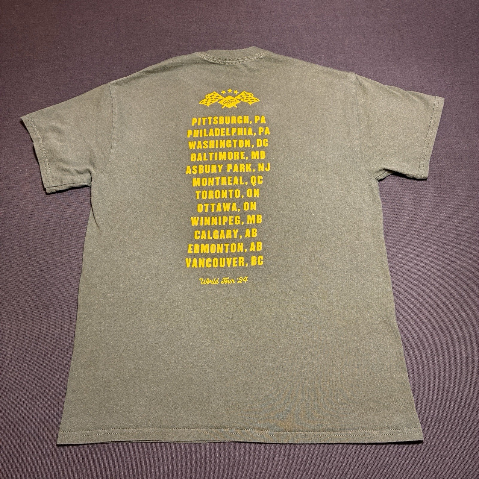 Bruce Springsteen E Street Band Concert Tour Merch Shirt Green Show Bought Med