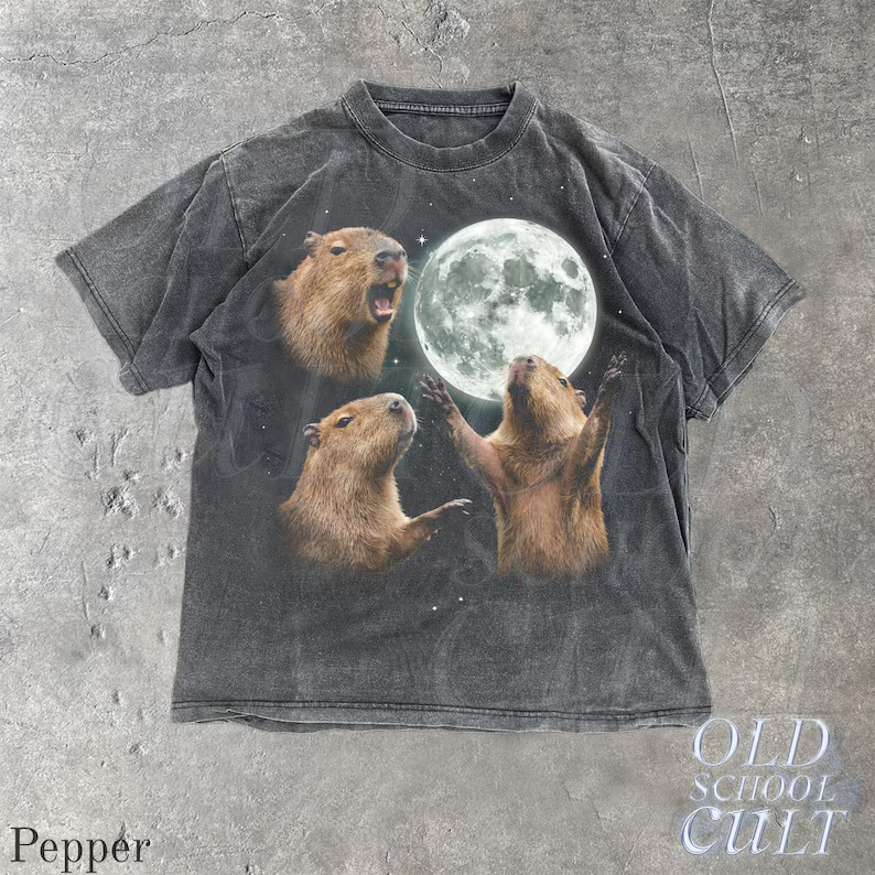 Vintage Capybara Galaxy Animal Graphic Comfort Tee