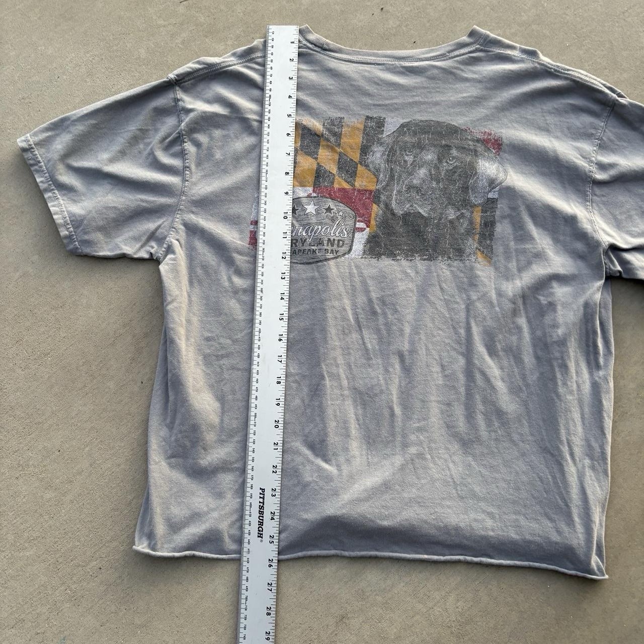 grey cropped annapolis maryland graphic tee Ships same day/next unisex graphic