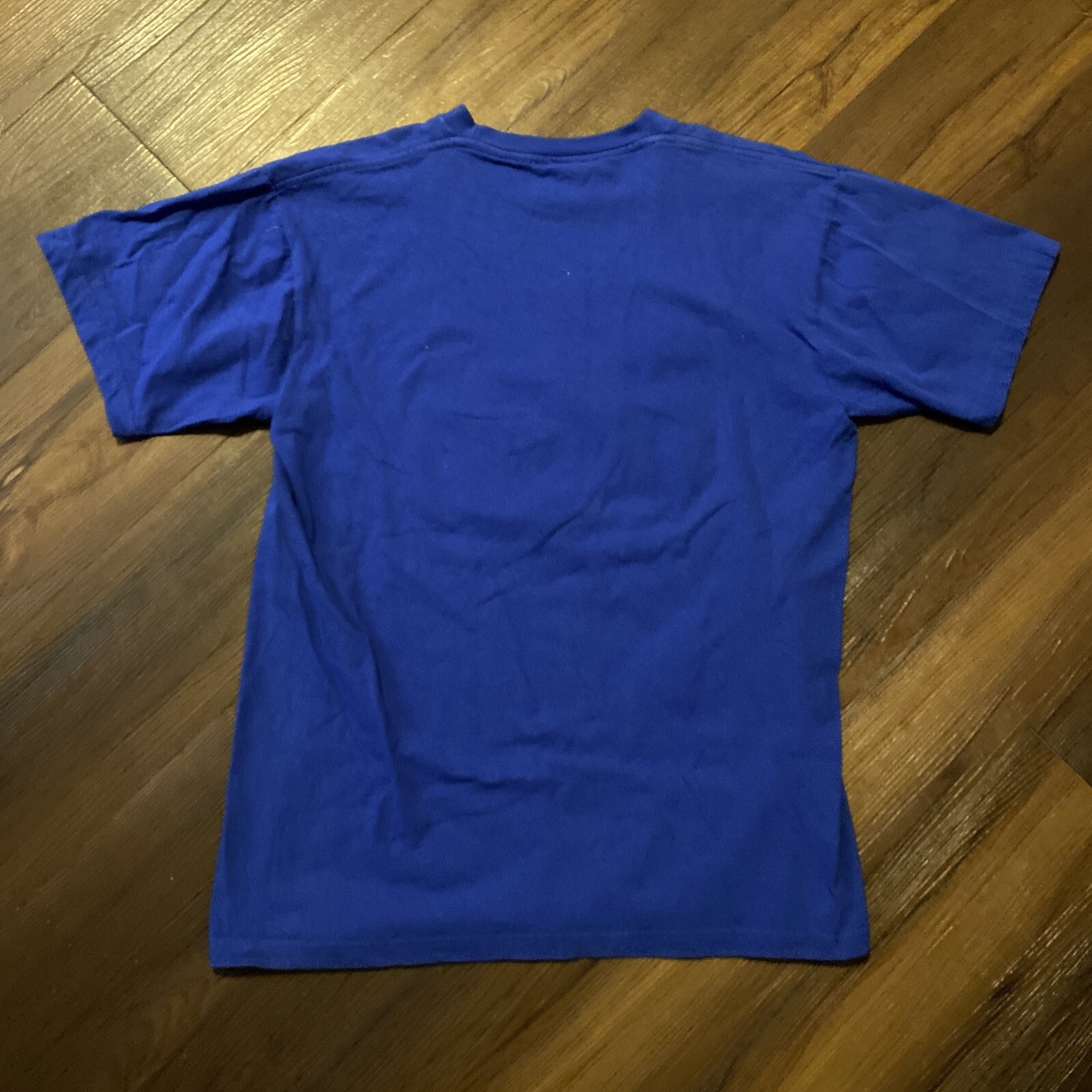 Carnival Cruise Lines Blue T Shirt Mens M Crewneck Isla Roatan Retro 90s Vintage