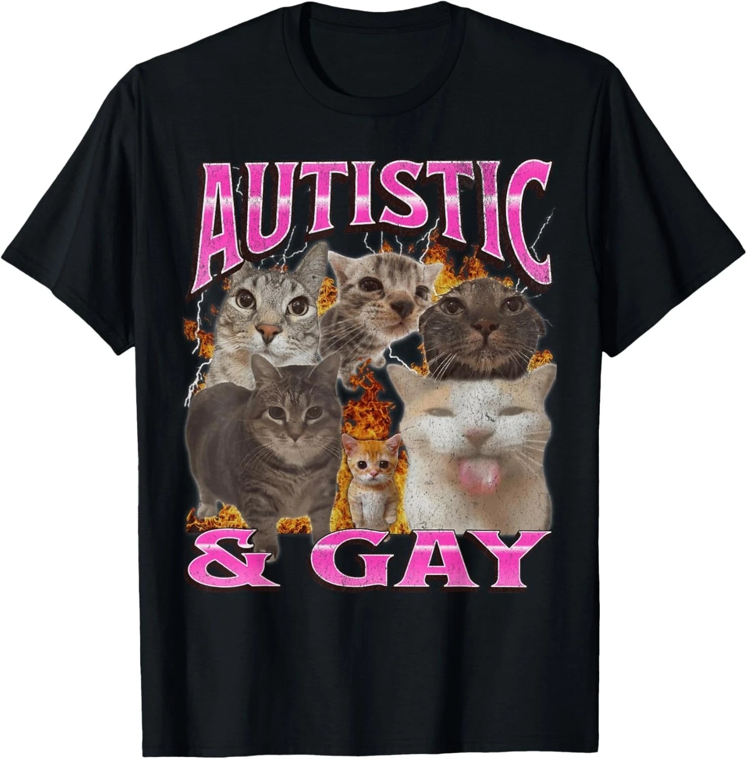 Autistic and Gay Funny Cat Meme Bootleg Graphic T-Shirt for Men Women