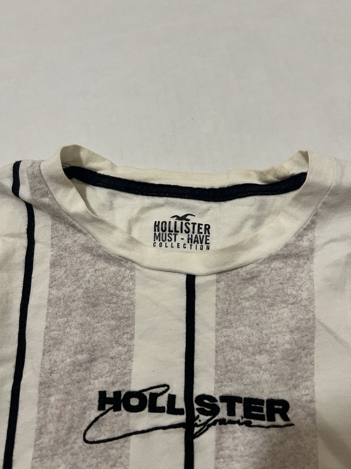 (2) LOT Hollister Must Have Collection Shirt Large Colorblock Script Spellout