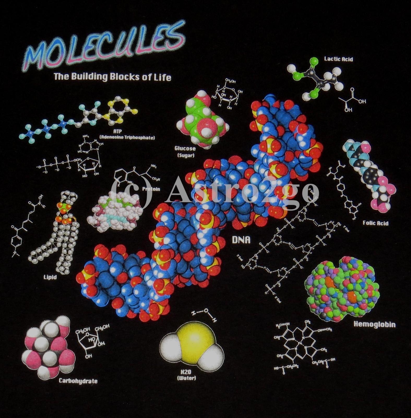 MOLECULES-Chemistry Biology Life Science DNA H2O CO2 Caffeine 2sided Tshirt S,3X