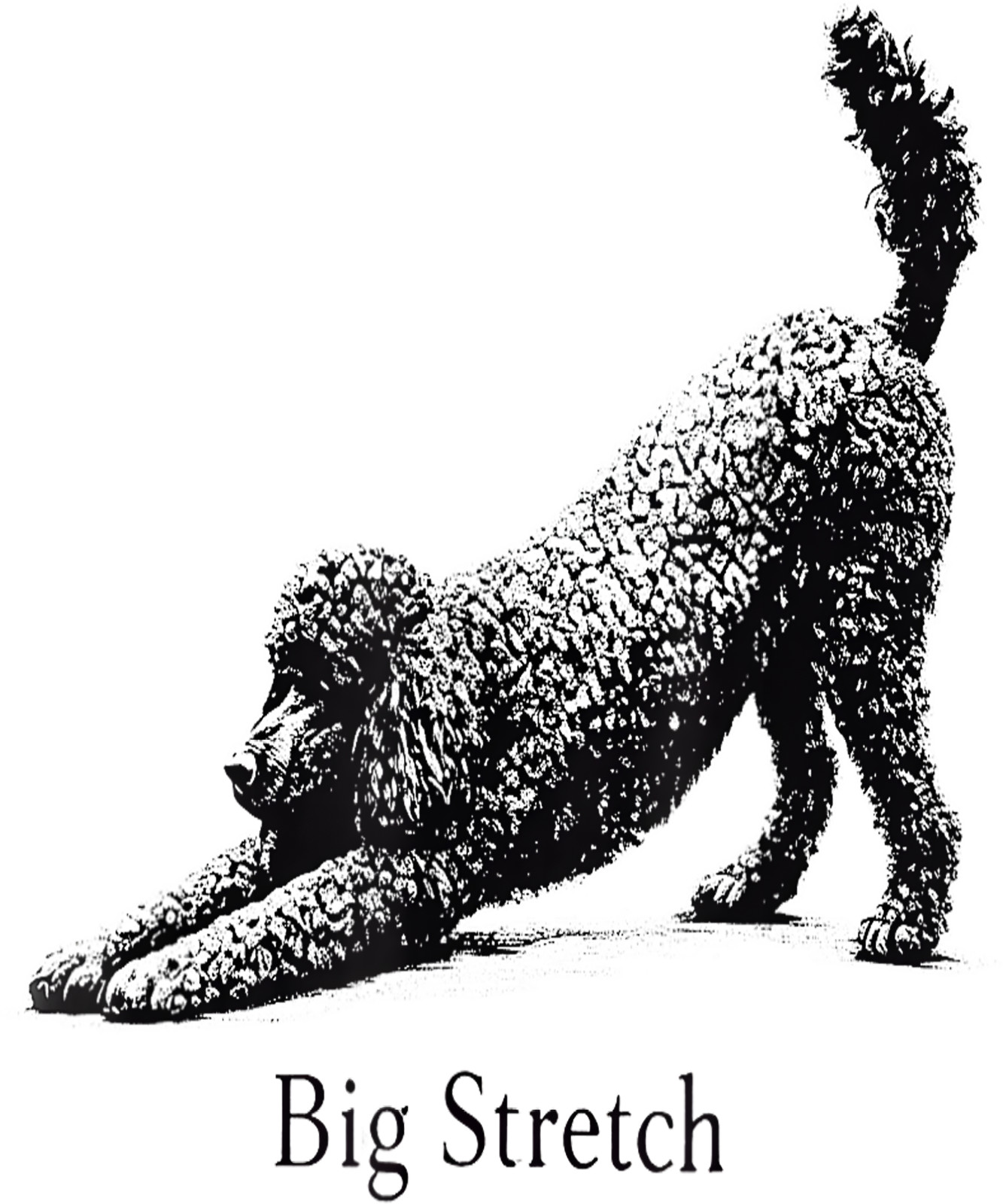 Big Stretch Poodle Funny Stretching Drawing Art Cute Dog Lover Shirt