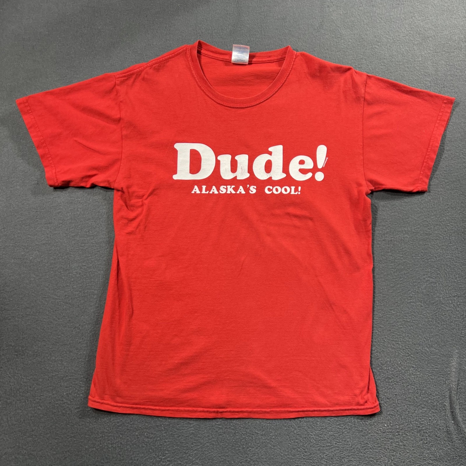 Vintage Y2K Dude Alaska’s Cool Graphic Tourist T Shirt Men L Red Gildan Souvenir