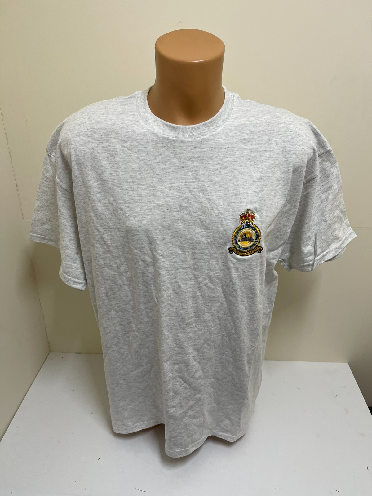 CLEARANCE: RAF Air Intelligence Wing embroidered t-shirt – Ash Grey XL