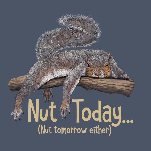 Squirrel T-shirt S M L XL XXL Nut Today Cotton NWT NEW Blue Nut Tomorrow Either