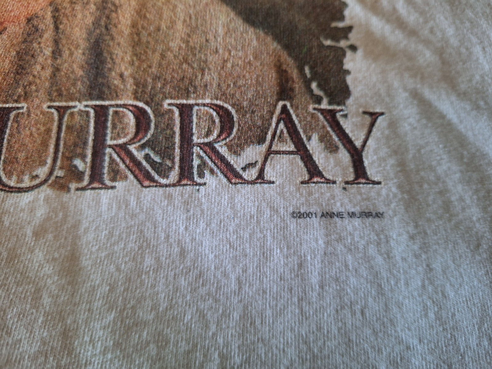 Vintage Anne Murray T-shirt Large Concert What A Wonderful World 2001 Shirt Tee