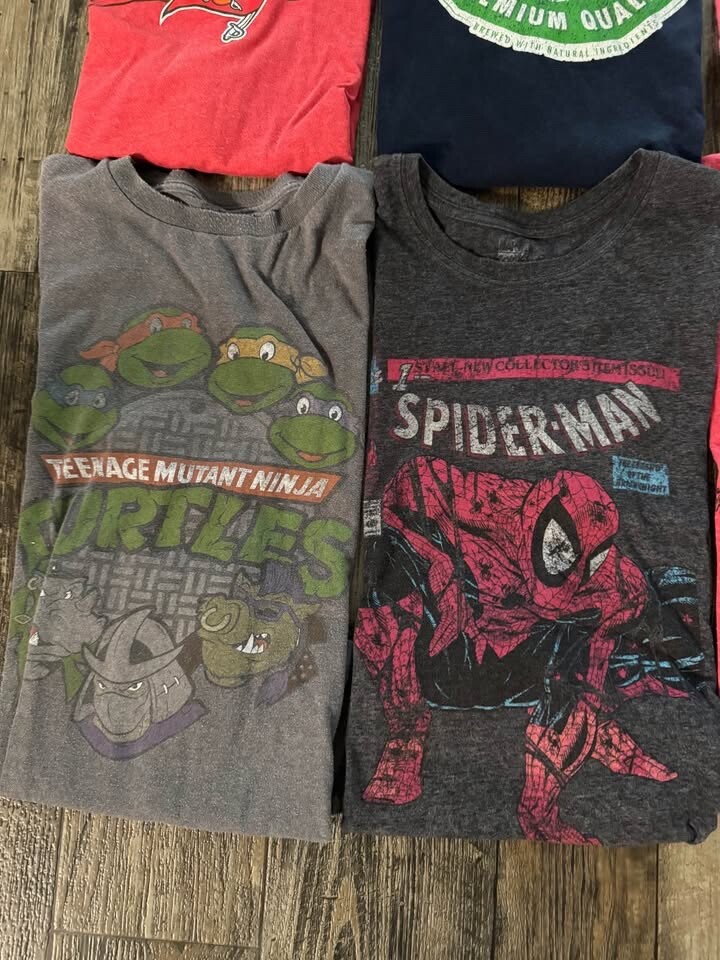 Lot of 12 Men’s Large T-Shirts