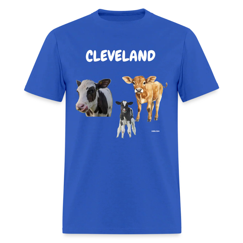 CAVS