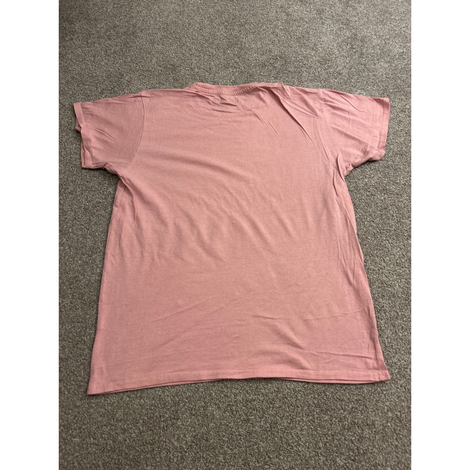 Brisco Brands T-Shirt Mens Large Pink Excellent Social Anxiety Cat Graphic Tee