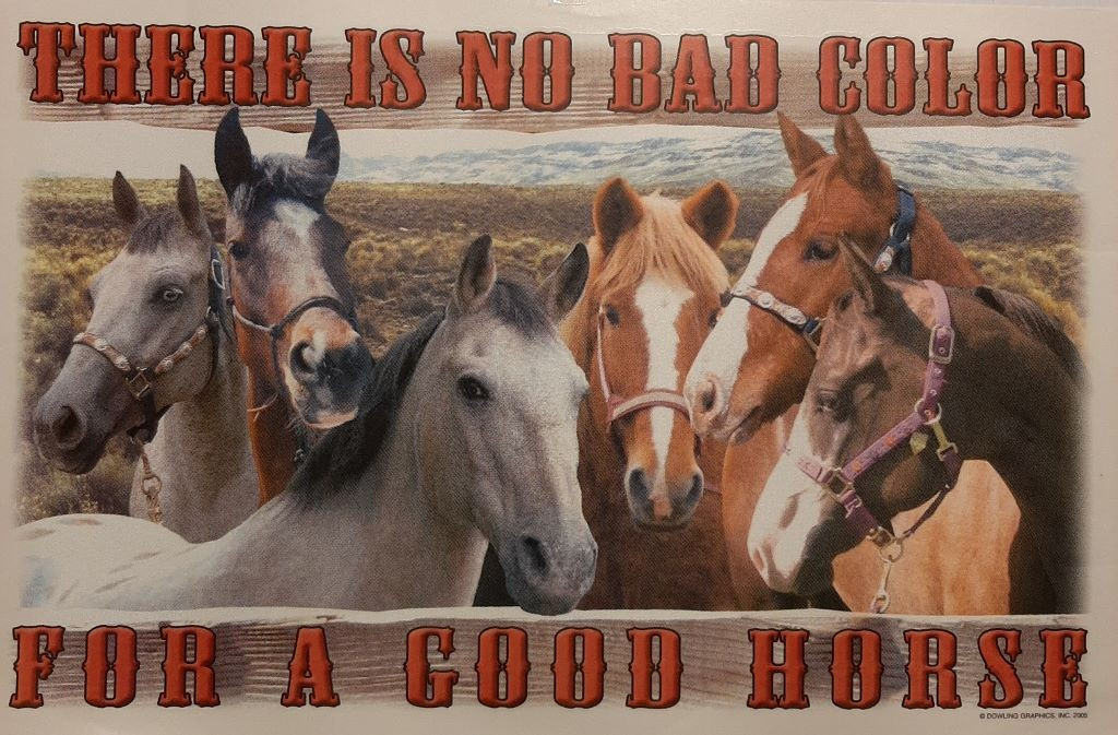 VINTAGE NO BAD COLOR HORSES WHITE SHIRT SIZE S-XL (FRONT PRINT)#2958