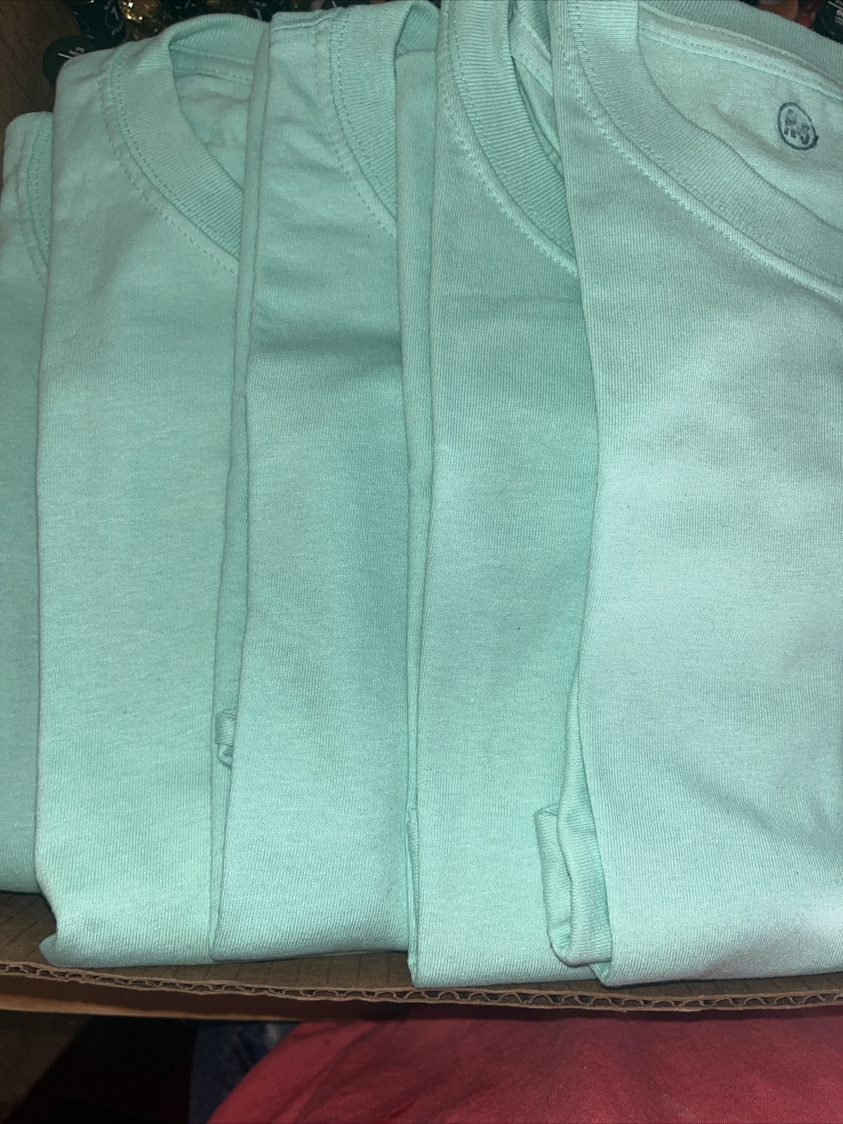 Pack Of 5 Hanes 5280 Mens Short Sleeve Essential 100% Cotton T-Shirt Mint