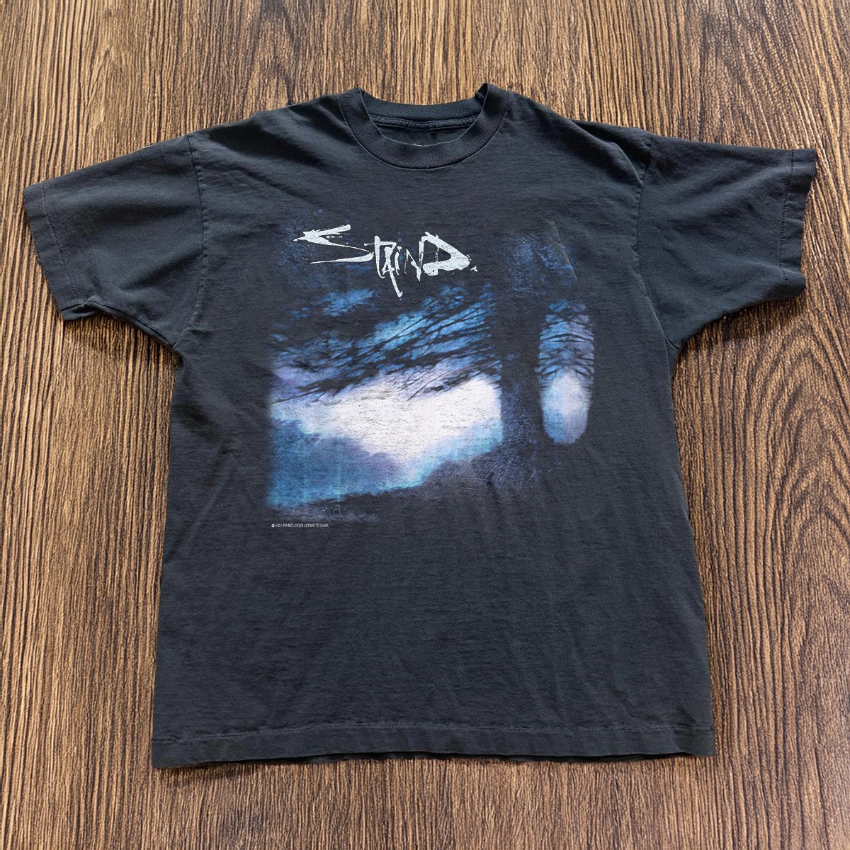 Staind Alternative Metal Band Graphic T-Shirt Black S-5XL