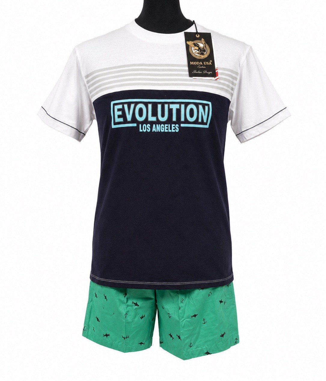 Moda USA Men’s L Regular Evolution Los Angeles Colorblock Crew Neck Graphic Tee